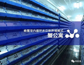 匯聚藍色經濟新動能 第十三屆中國國際（廈門）漁業博覽會全景解析